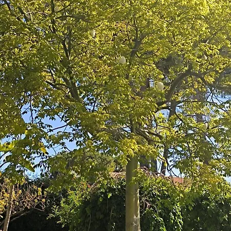 Willa Luxury Urania With Pool - Stella Del Mare Fontanebianche Fontane Bianche